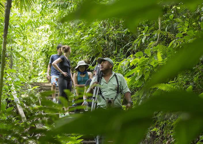 Arenal Volcano Family Tours