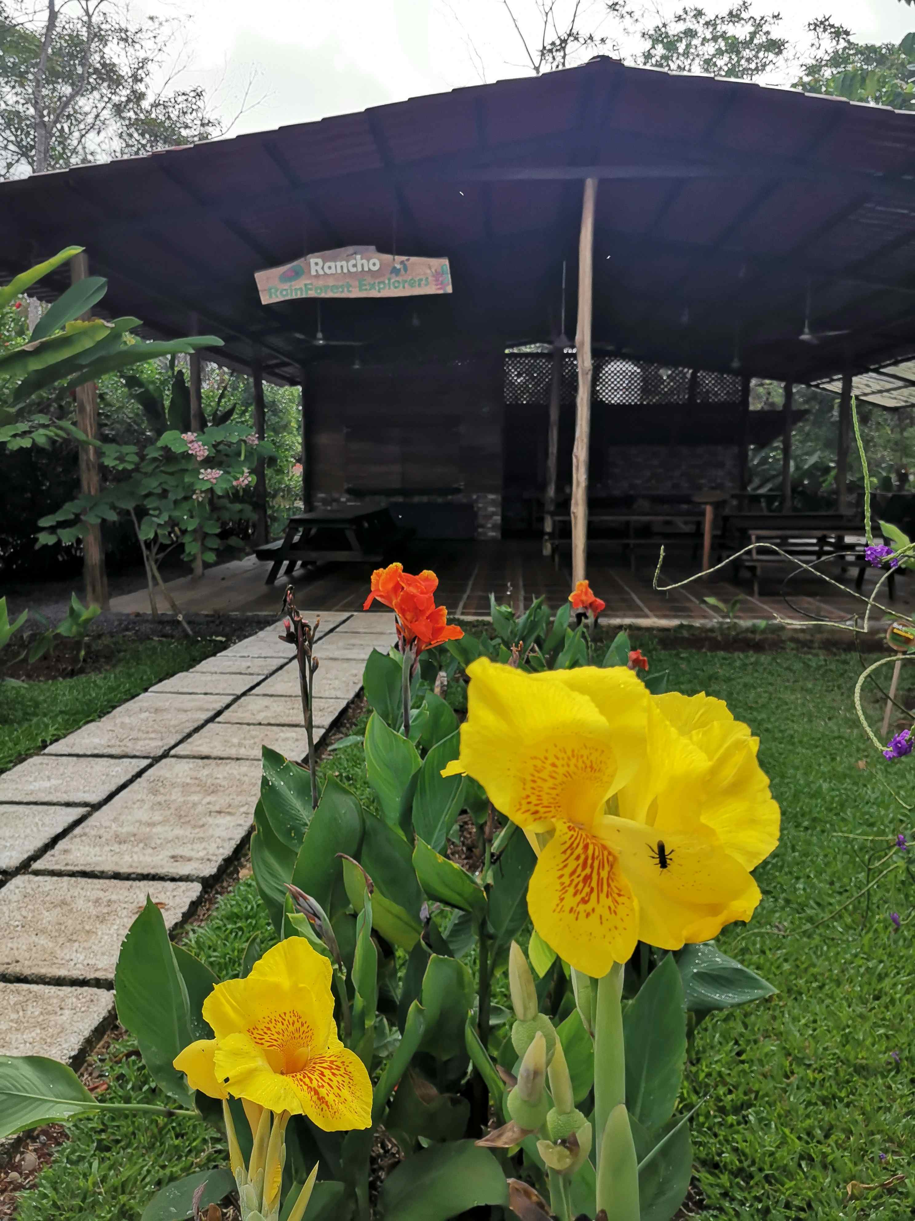 Costa Rica Gastronomy