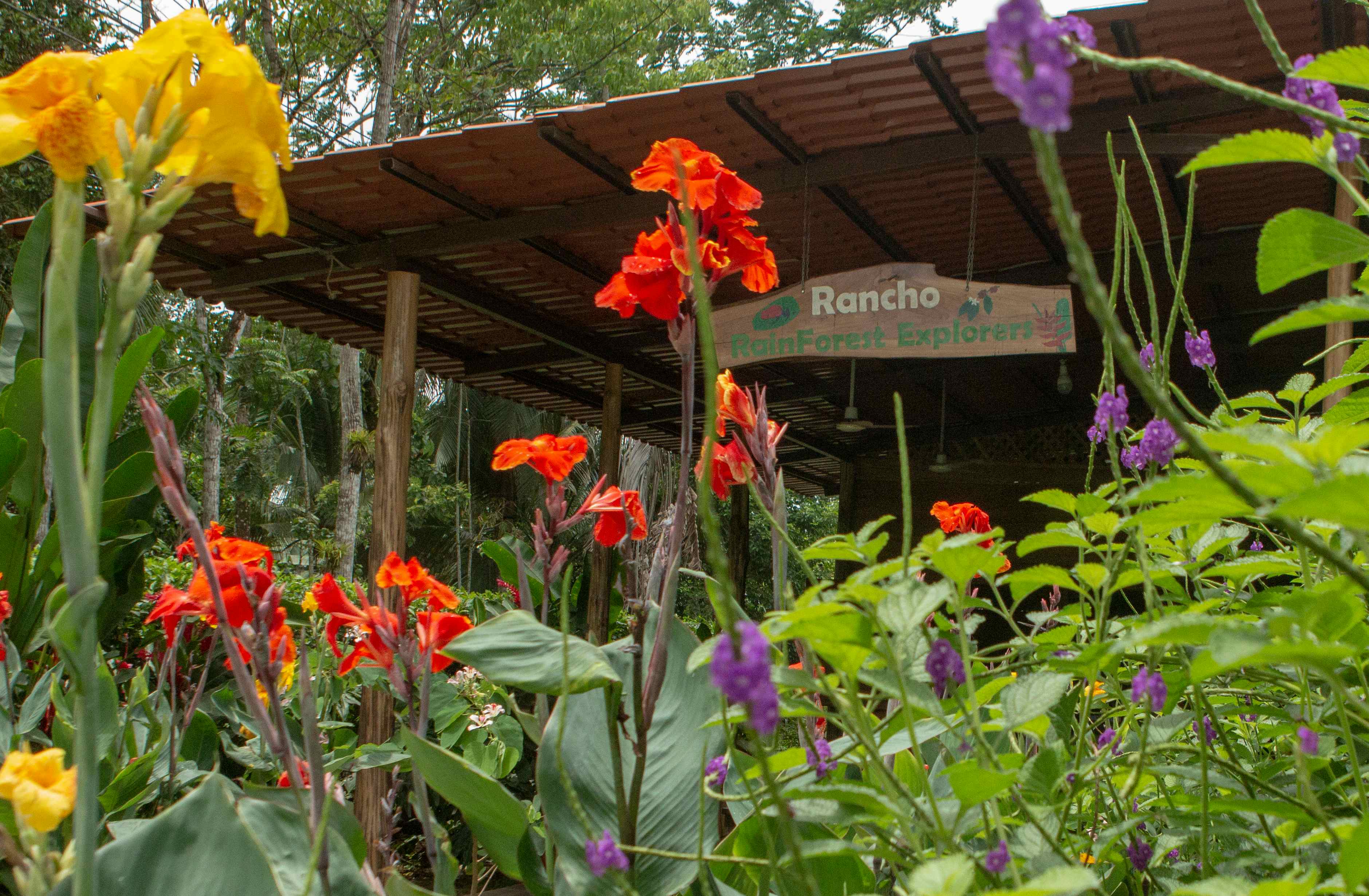 Costa Rica Gastronomy