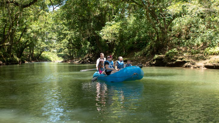 Have you imagine yourself immersed in Costa Rica's rainforest?
