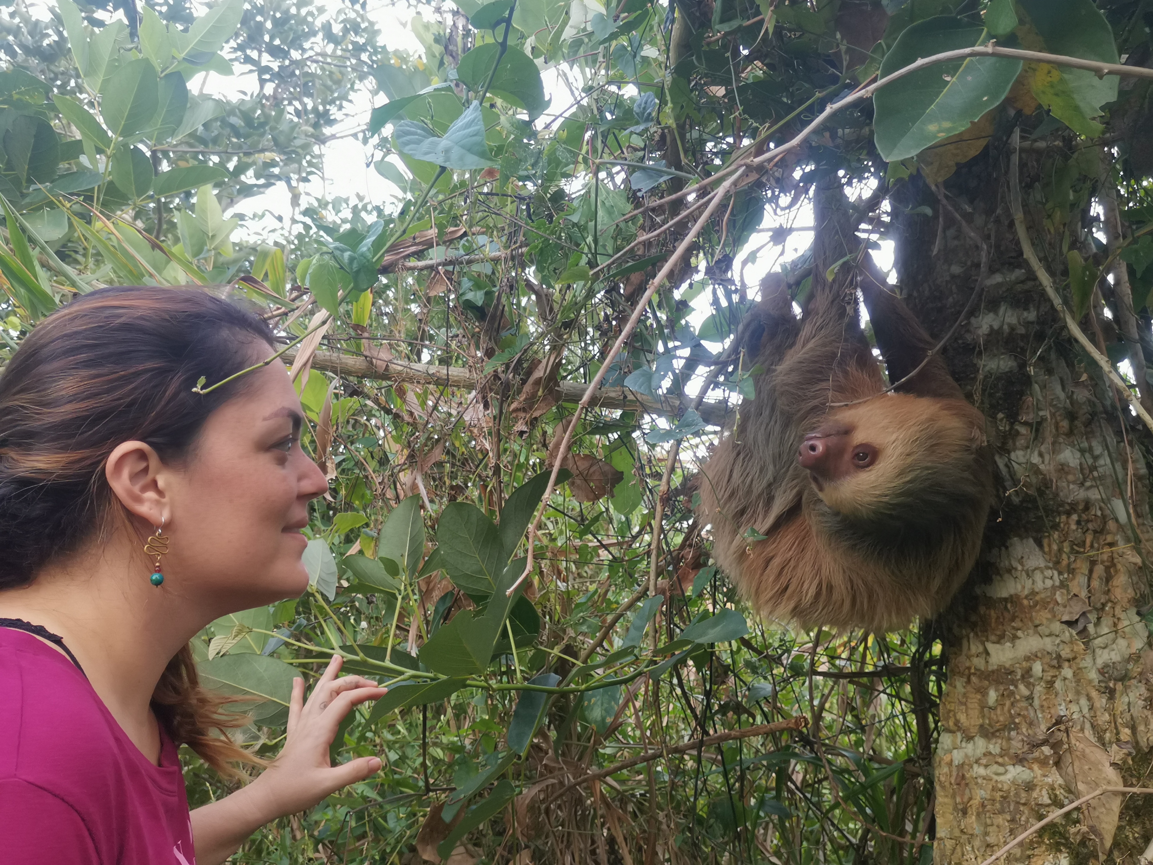 Would you like to live the best experience in Arenal?