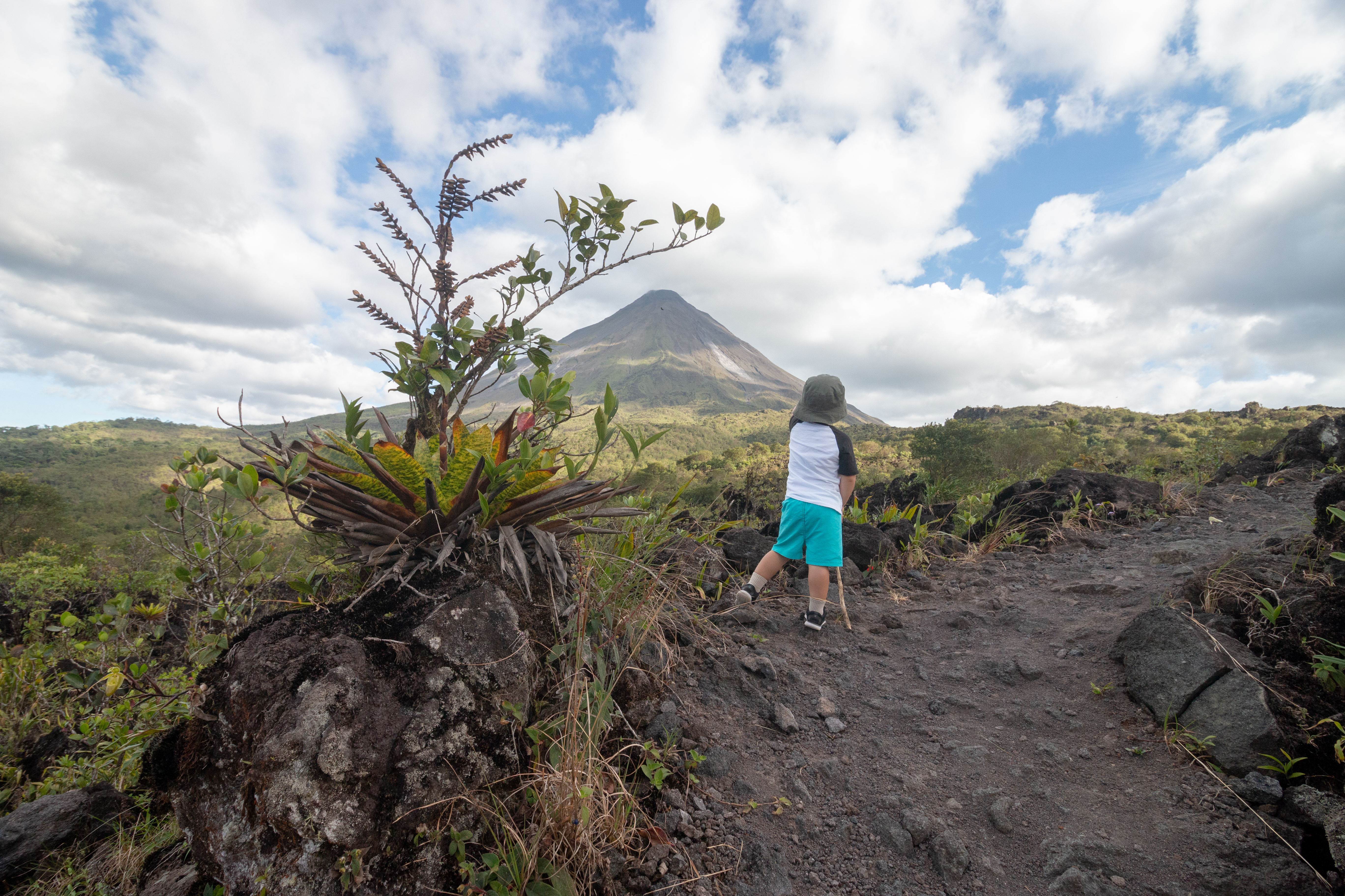 Would you like to personalize a combo tour with the best nature attractions in Arenal?