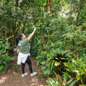 Looking for wildlife at Monteverde Costa Rica