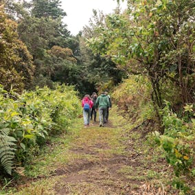 Curi Cancha Monteverde Hiking Tours