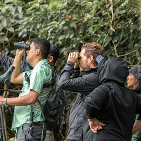 Birdwatching at Curi Cancha Reserve