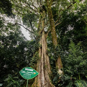 Curi Cancha Reserve Entrance