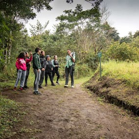 Curi Cancha Reserve Monteverde Tours