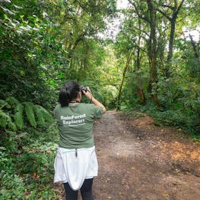 Guided Tours at Monteverde Cloud Forest Reserve