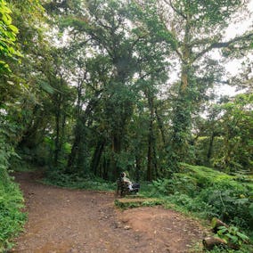 Monteverde Reserve Costa Rica