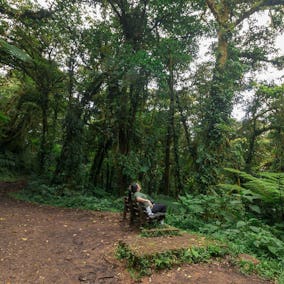 Monteverde Cloud Forest Reserve is a nature paradise