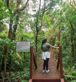 Let's explore the Monteverde Cloud Forest Reserve