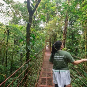 Hanging Bridge at Monteverde Cloud Forest