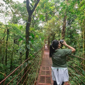 Monteverde Cloud Forest Tour