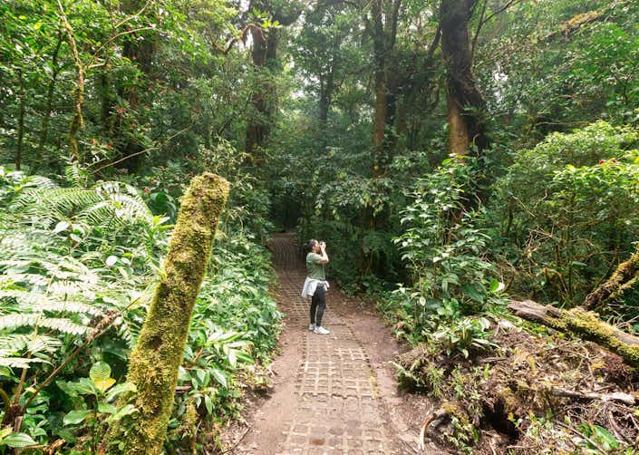 Monteverde Hiking Tours