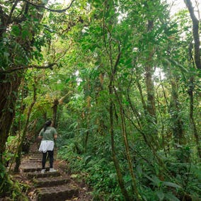 Hiking in Monteverde Costa Rica
