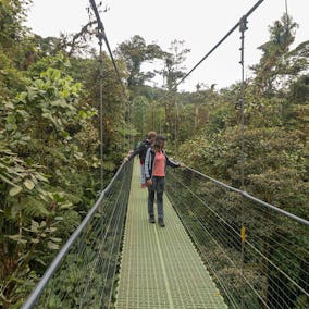 Sky Bridges Costa Rica