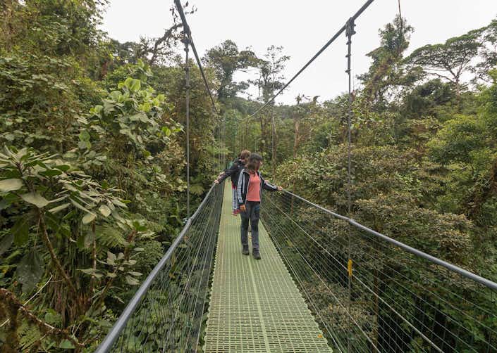 Monteverde Cloud Forest and Sky Walk Bridges