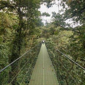 Sky Monteverde Park