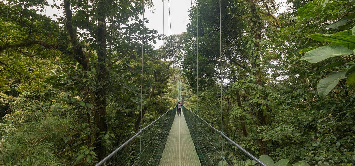 One of the best ways to get to know the mist cloud forests in Monteverde is from above, closer to the clouds in the amazing hanging bridges at the Sky Adventures Park, on the sky walk.