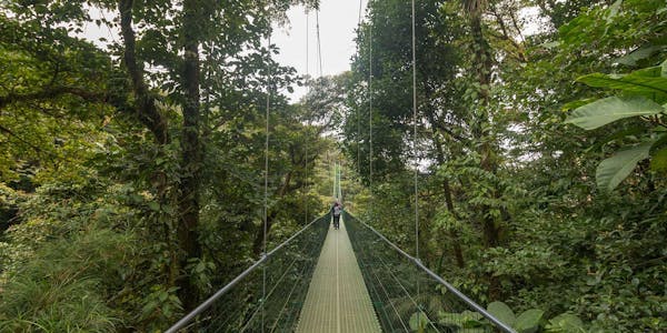 Sky Walk Hanging Bridges Monteverde
