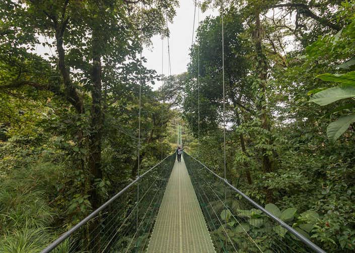 Sky Walk Hanging Bridges Monteverde