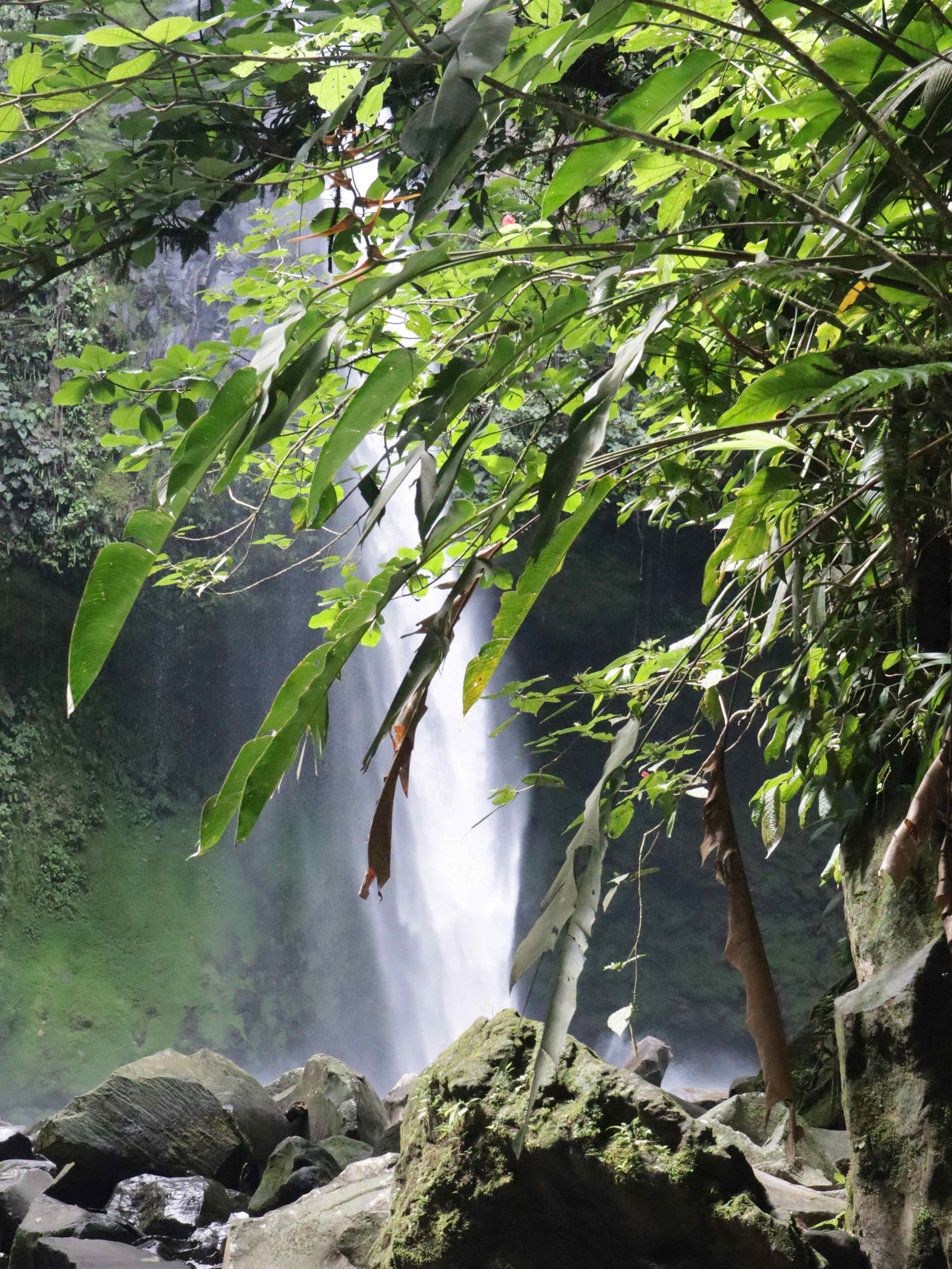 La Fortuna Waterfall