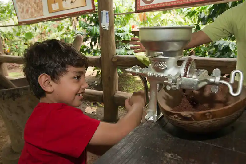 3 in 1 Hanging Bridges + La Fortuna Waterfall + Chocolate Tour - Top Highlight Tour in Arenal Costa Rica