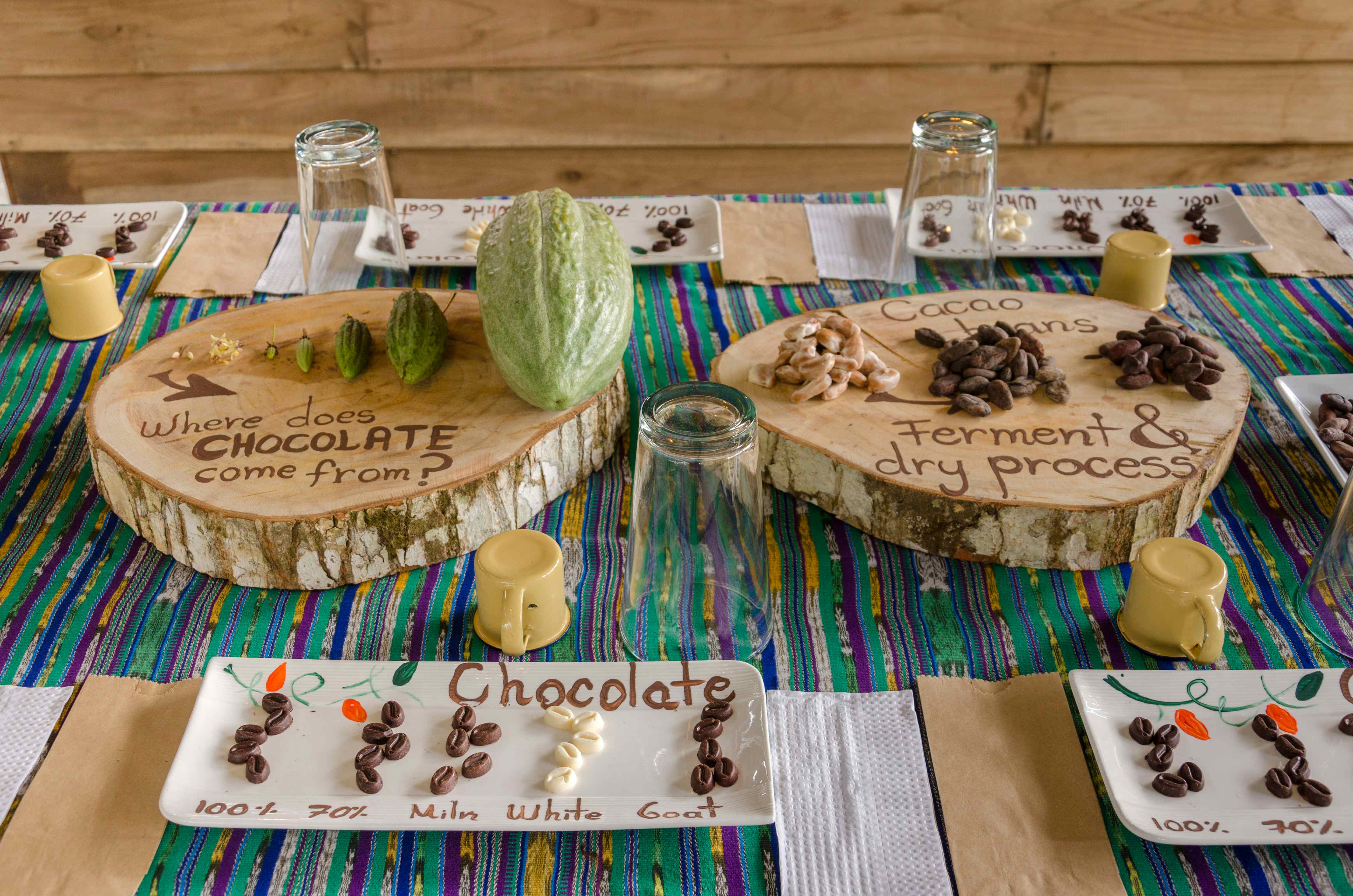 Costa Rica Chocolate Tour