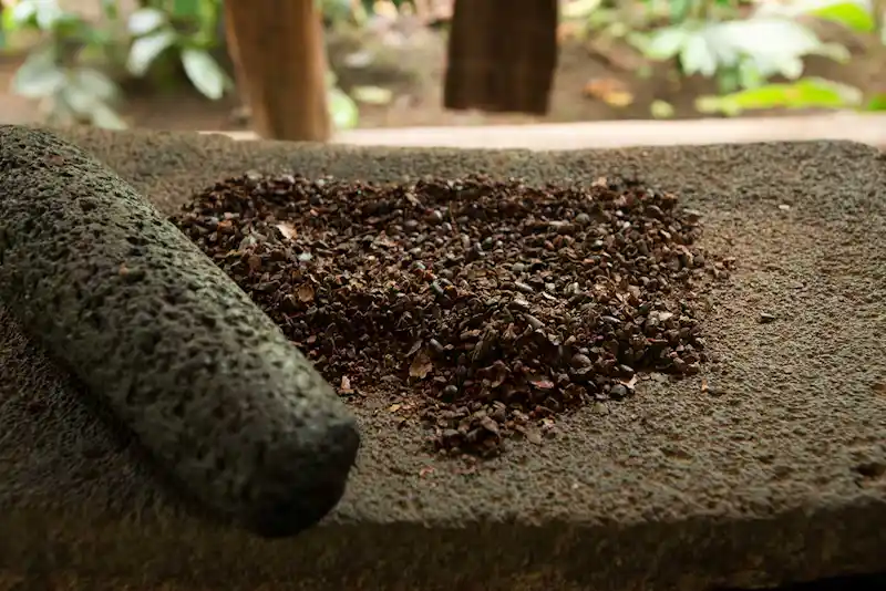 2 in 1 Tour - Hanging Bridges + Chocolate Tour - Top Highlight Tour in Arenal Costa Rica