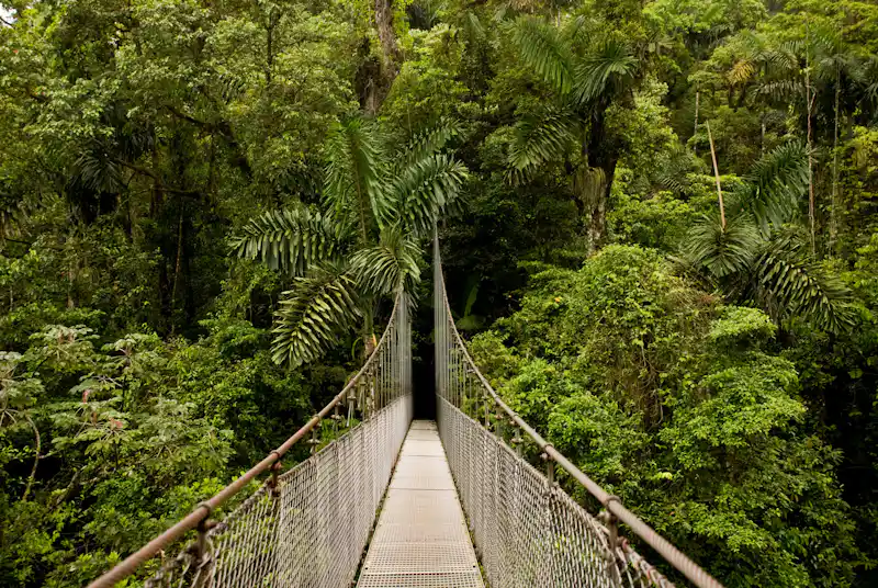Hanging Bridges, La Fortuna Waterfall & Volcano Hike - Top Highlight Tour in Arenal Costa Rica