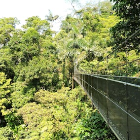 Arenal Hanging Bridges Hike Photo 5