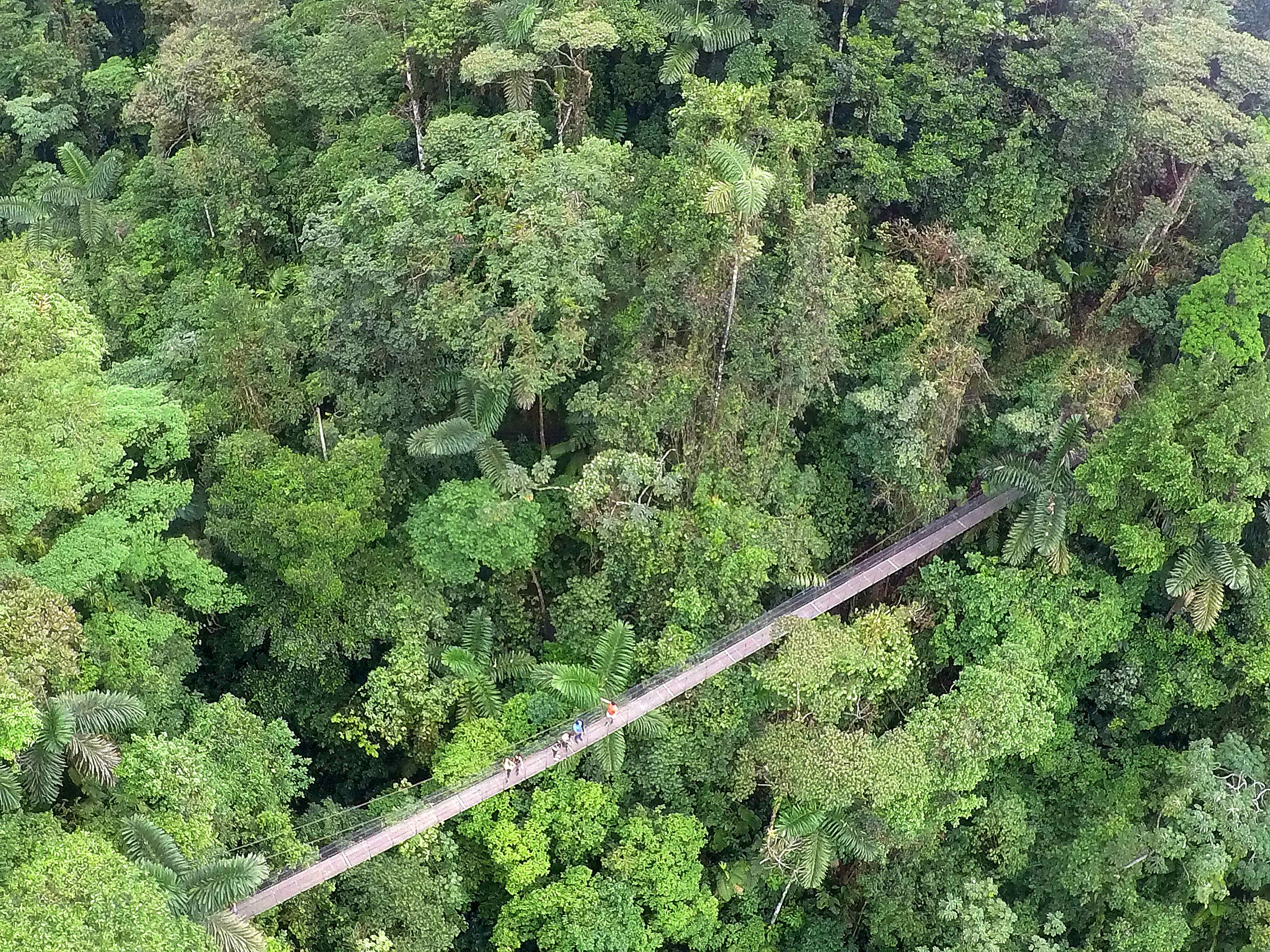La Fortuna Hanging Bridges